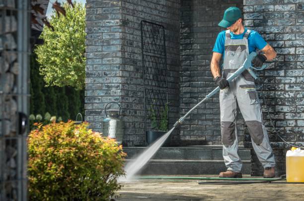 Best Graffiti Removal  in Belle, WV
