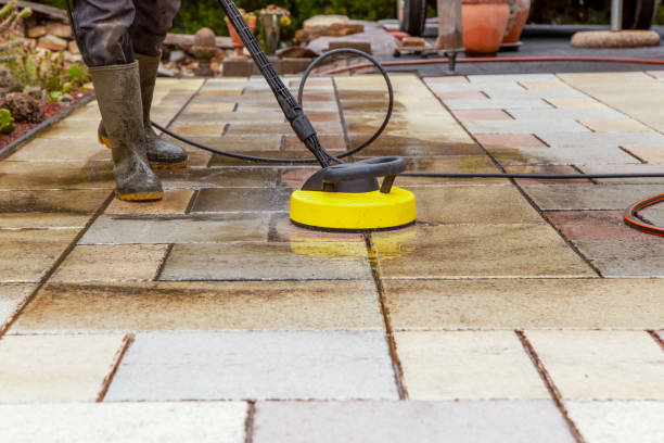 Best Pre-Holiday Cleaning  in Belle, WV