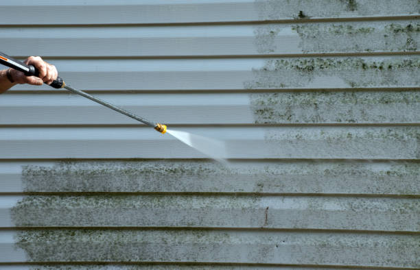 Best Boat and Dock Cleaning  in Belle, WV